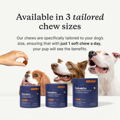 PetLab Co. chew next to measuring guide showing chew size for medium dogs