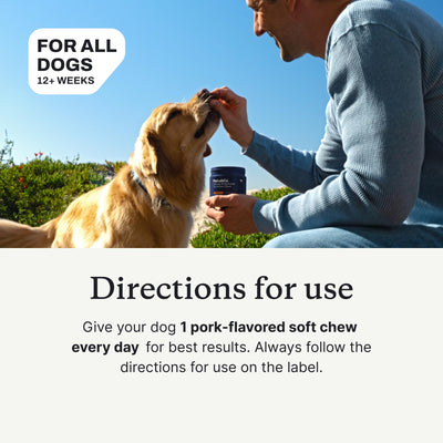 PetLab Co. medium dog taking chew easily, demonstrating simple administration