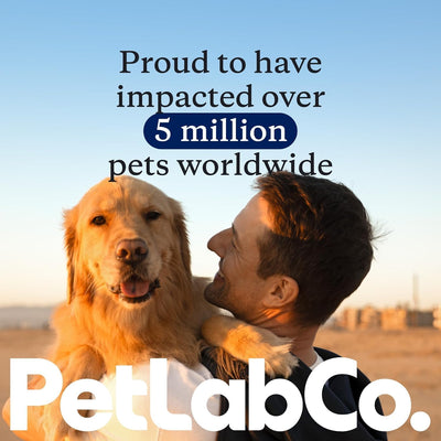 Comparación de tamaño PetLab Co. masticable junto a moneda para escala clara
