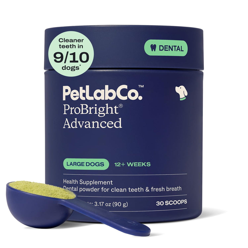 PetLab Co. ProBright tub front view showing product for large dogs, clear dosing