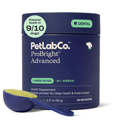 PetLab Co. ProBright tub front view showing product for large dogs, clear dosing