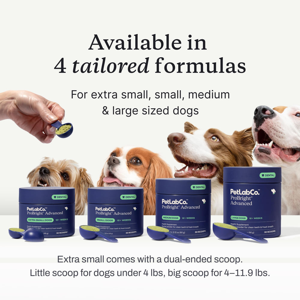PetLab Co. ProBright scoop next to measurement scale, ensuring accurate large-dog dosing