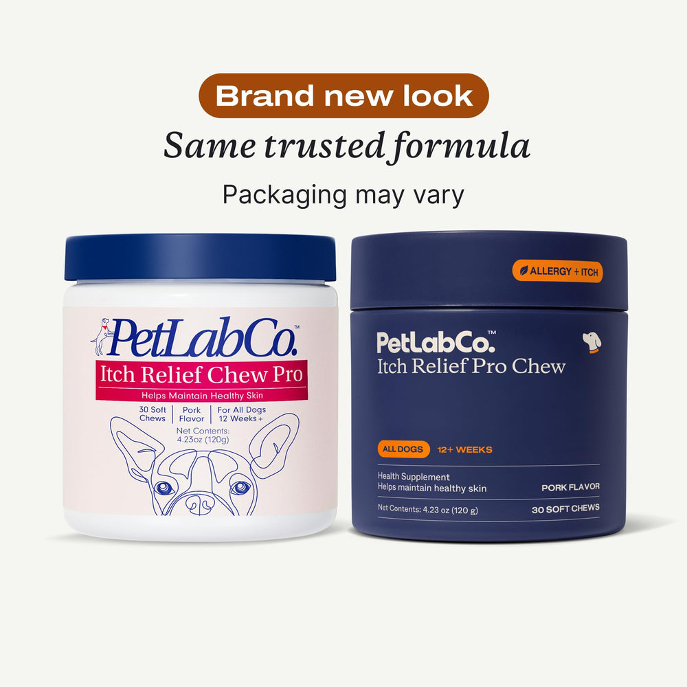 PetLab Co. primer plano de textura del masticable que facilita administración y palatabilidad