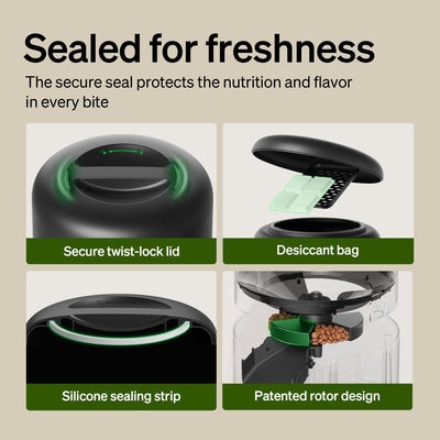 PETLIBRO removable stainless steel bowl close-up hygienic surface for cleaner feeding