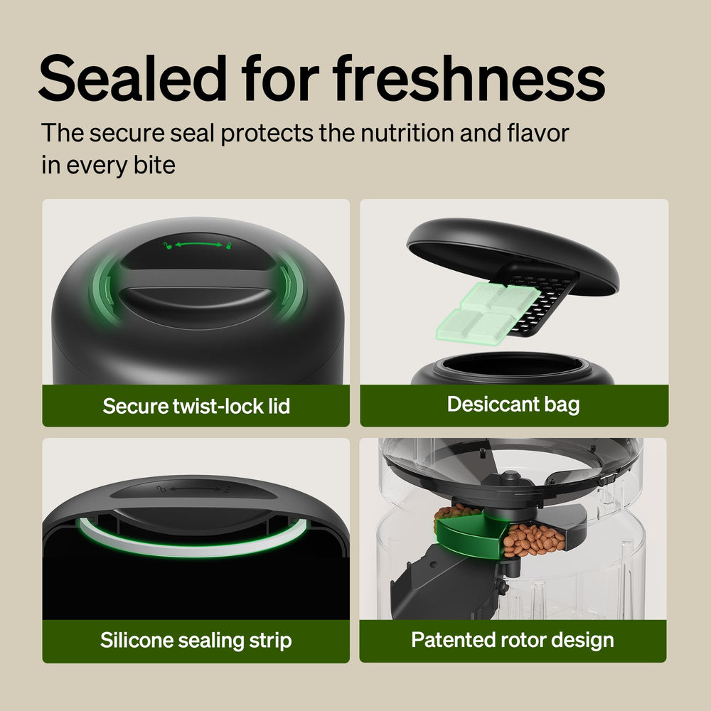 PETLIBRO removable stainless steel bowl close-up hygienic surface for cleaner feeding