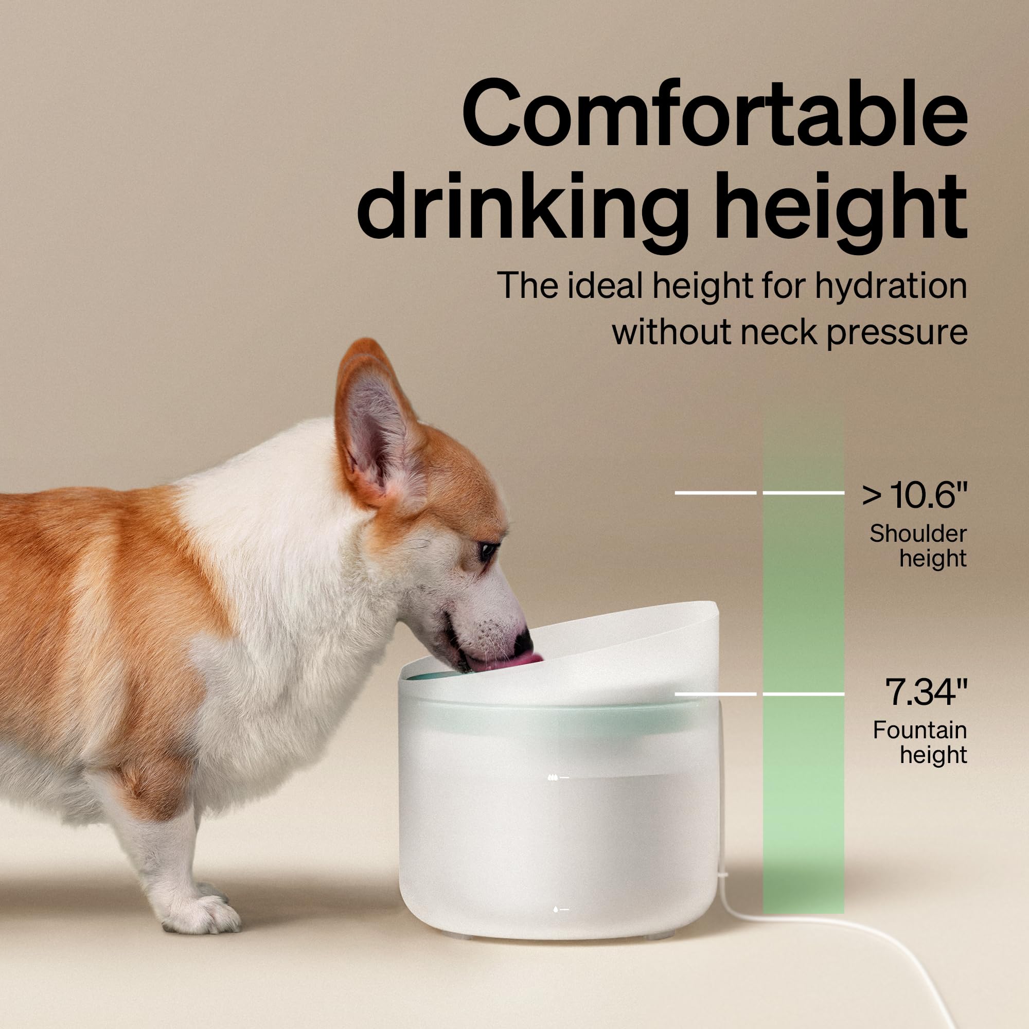 PETLIBRO fuente Capsule con perro bebiendo agua filtrada