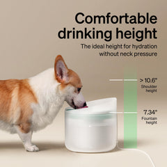 PETLIBRO fuente Capsule con perro bebiendo agua filtrada