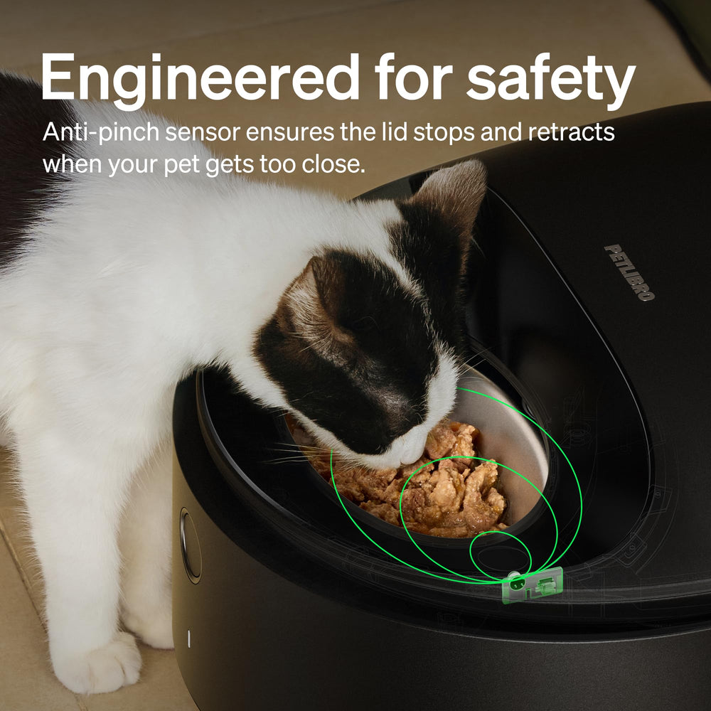 PETLIBRO módulo de refrigeración semiconductor, mantiene frescura