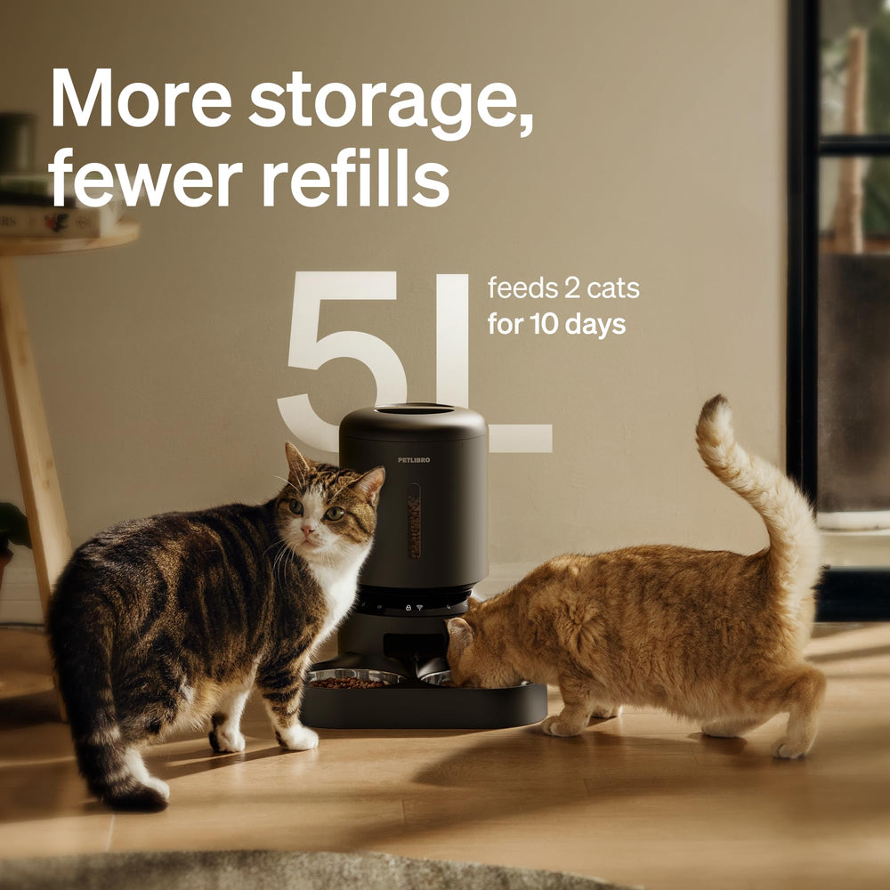 PETLIBRO feeder in kitchen with two cats illustrating multi-cat convenience benefit