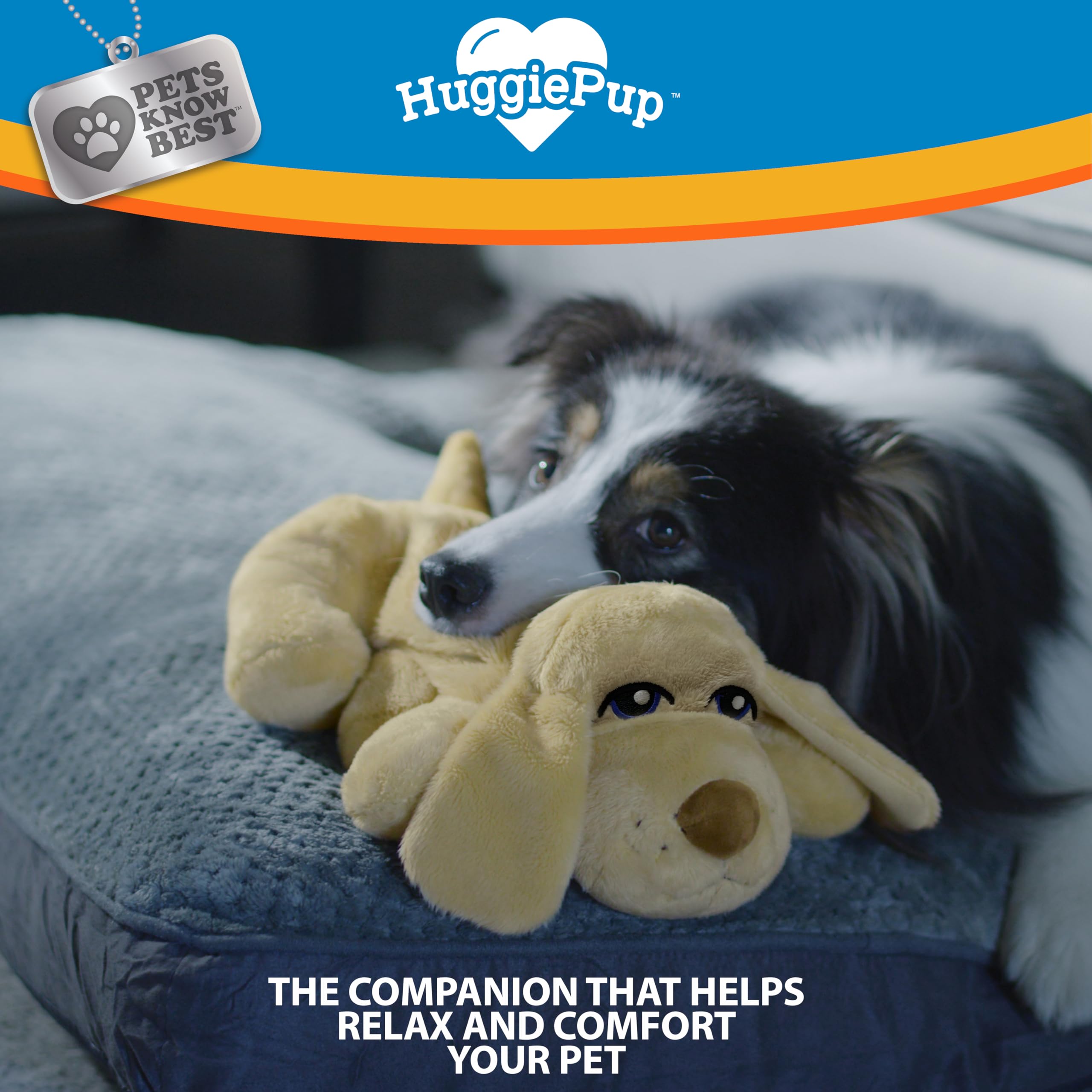 Pets Know Best HuggiePup en jaula demostrando apoyo durante entrenamiento