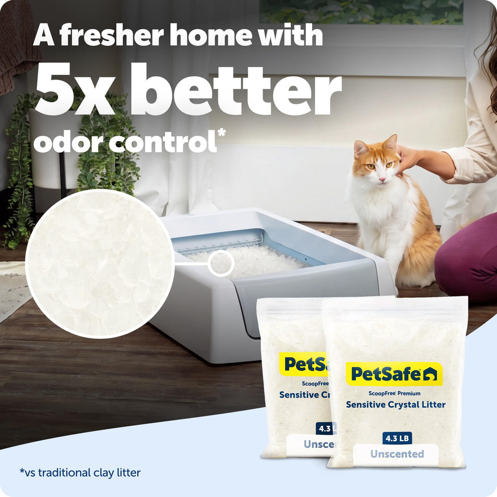 PetSafe primer plano de textura de cristales de sílice con alta absorción