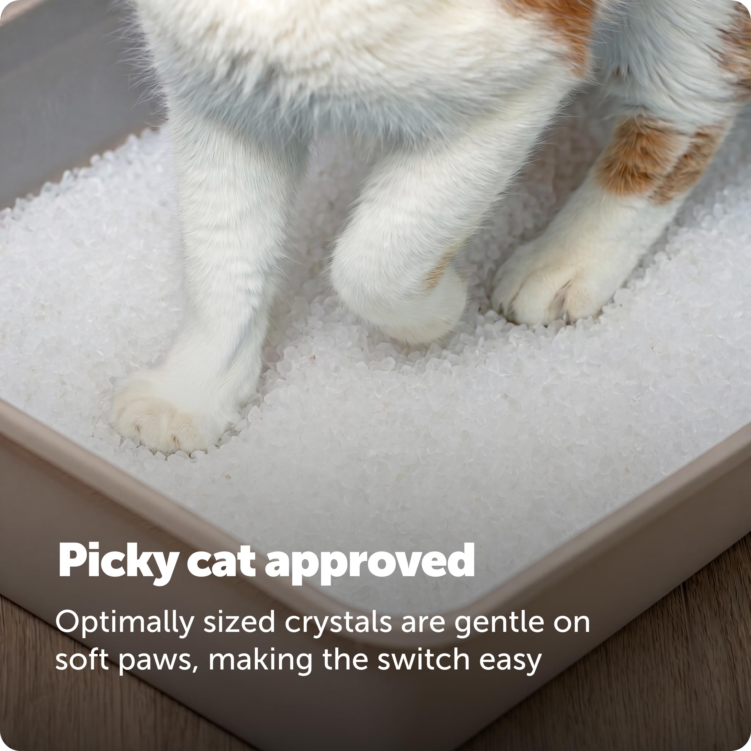 PetSafe empaque lateral con instrucciones legibles y uso claro