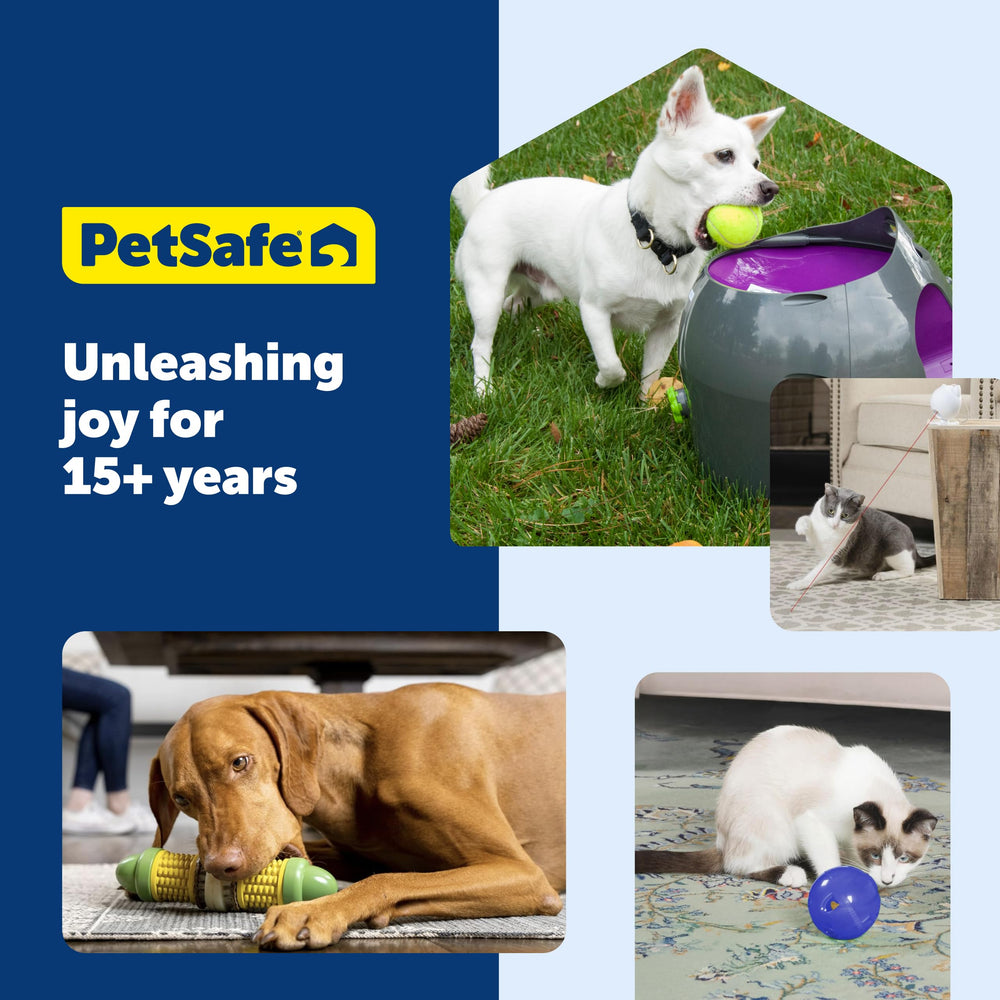 PetSafe perro mediano jugando con Busy Buddy relleno con anillos para ocupación