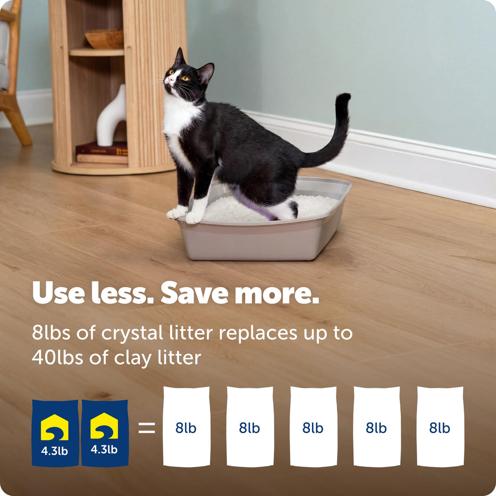 PetSafe gato usando bandeja con cristales sin fragancia, confort seguro