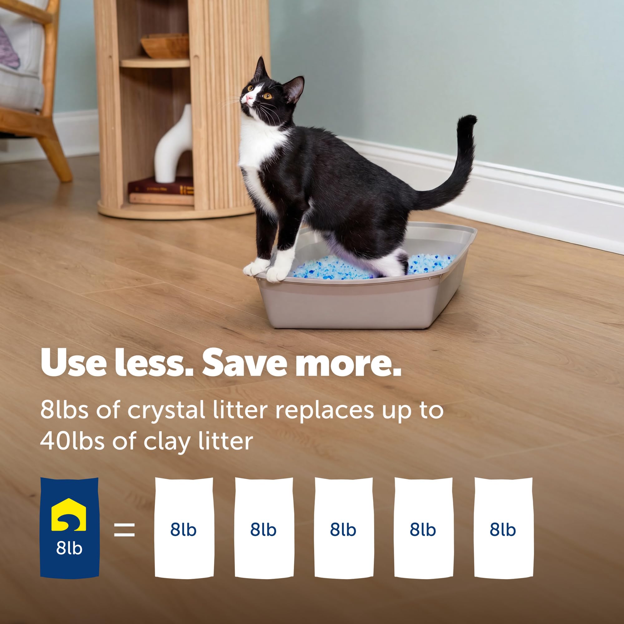 PetSafe gato usando la arena, comodidad y aceptación por parte del felino