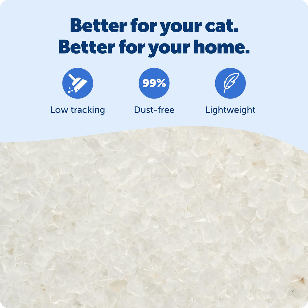 PetSafe cristales brillando que muestran poder de absorción y secado