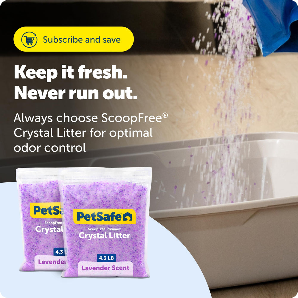 PetSafe bandeja en sala con decoración lavanda, frescura continua y ambiente limpio
