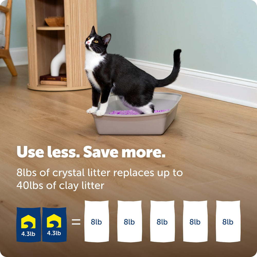 PetSafe bolsa junto a regla para comparar tamaño y facilidad de almacenamiento