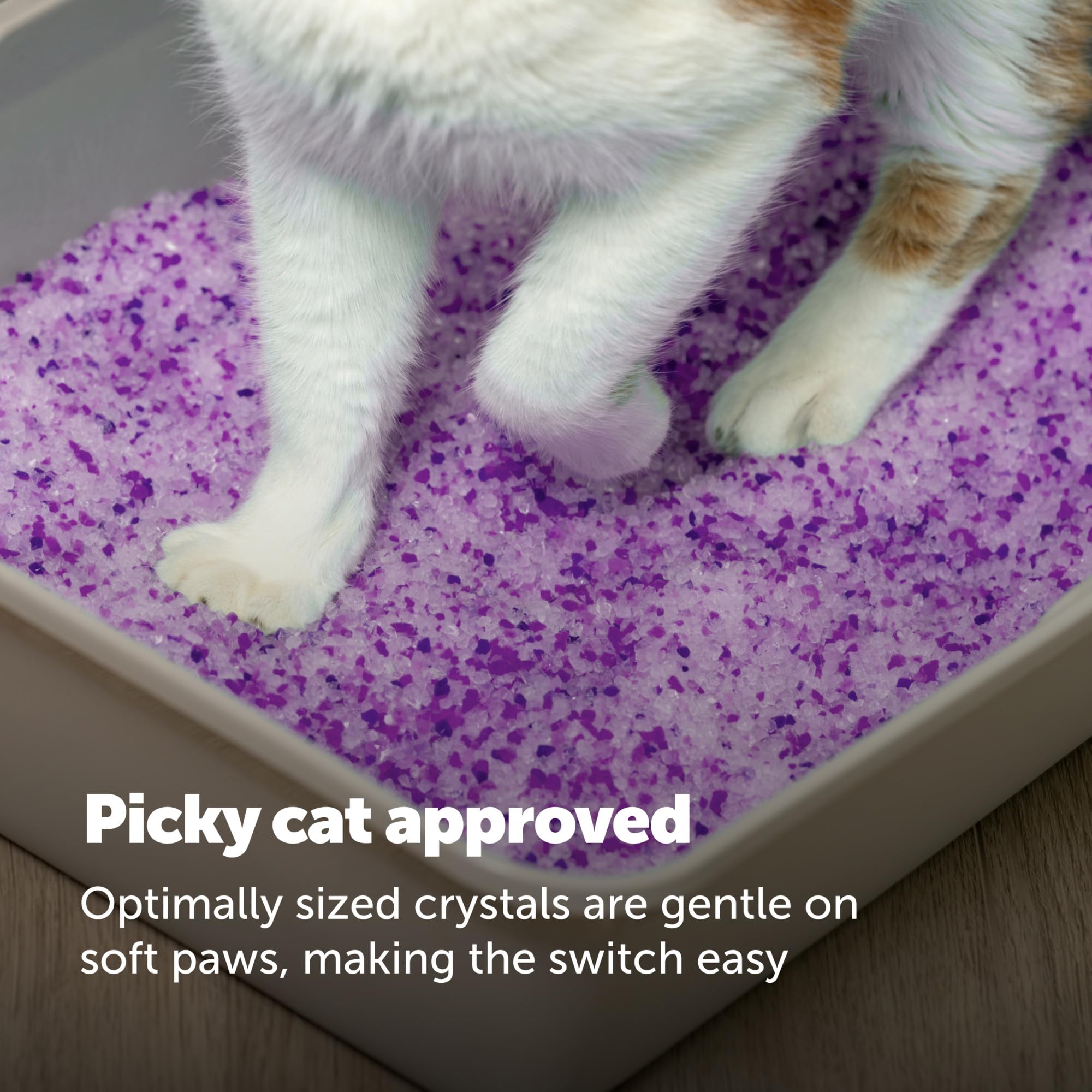 PetSafe etiqueta del producto mostrando aroma lavanda y características clave