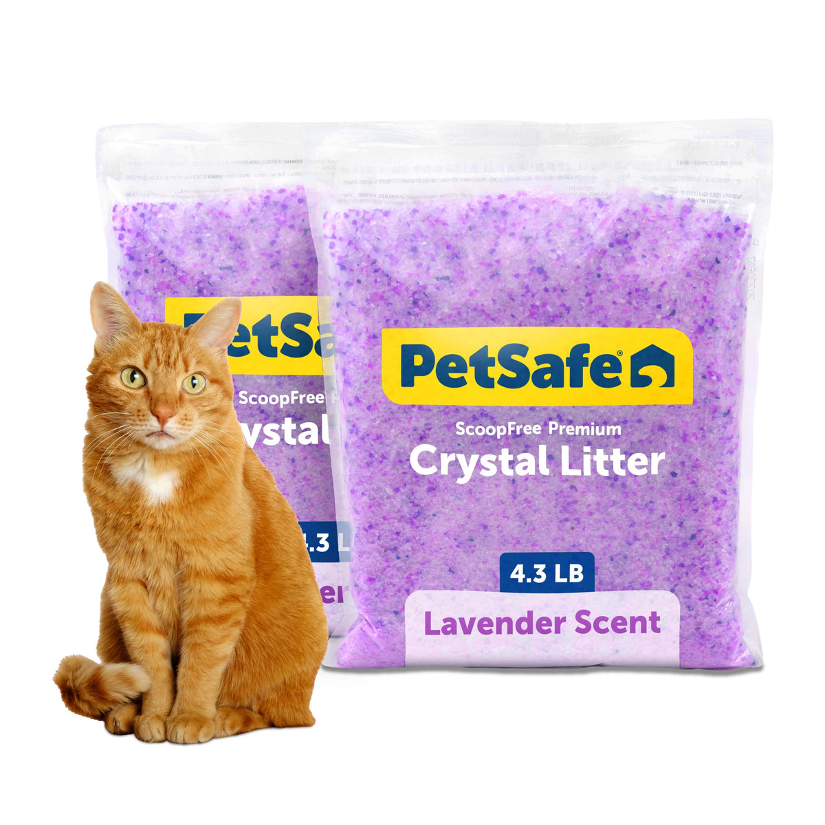 PetSafe empaque frontal del pack de arena lavanda, fácil identificación y ahorro