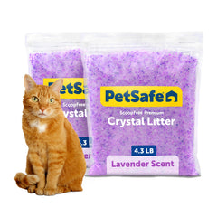PetSafe empaque frontal del pack de arena lavanda, fácil identificación y ahorro