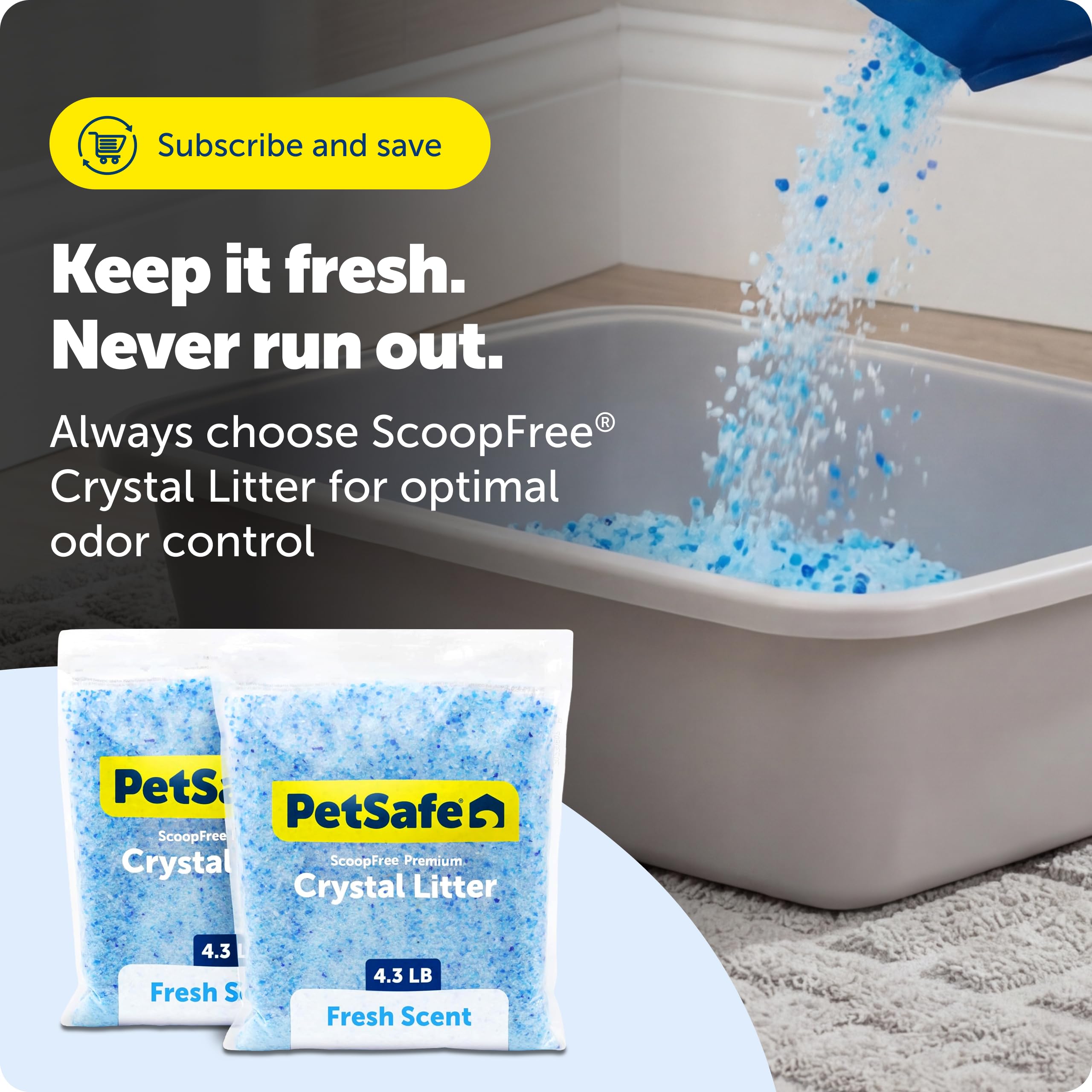 PetSafe superficie alrededor de la caja libre de polvo y sin rastros