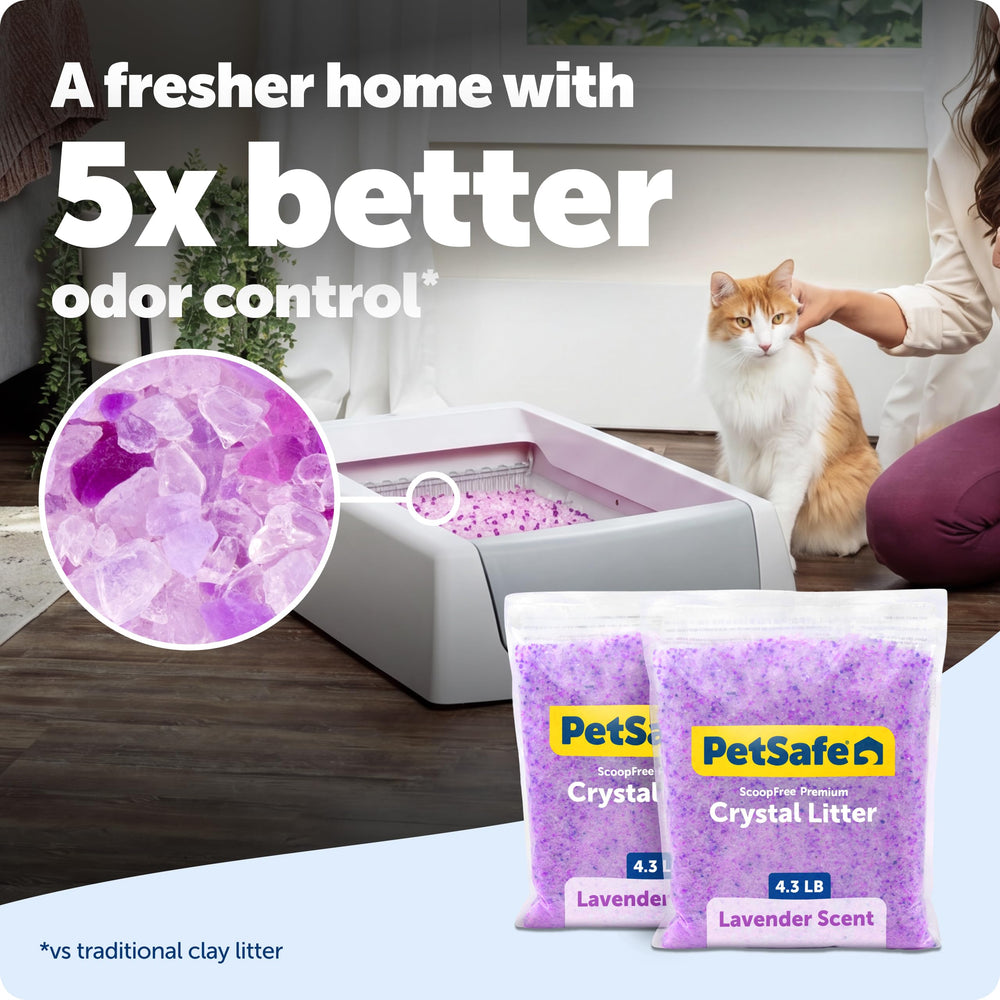 PetSafe primeros planos de cristales de sílice, textura absorbente y secado rápido