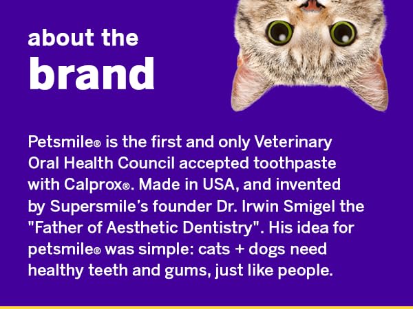 petsmile perro y gato en sala disfrutando rutina que convierte higiene en hábito agradable