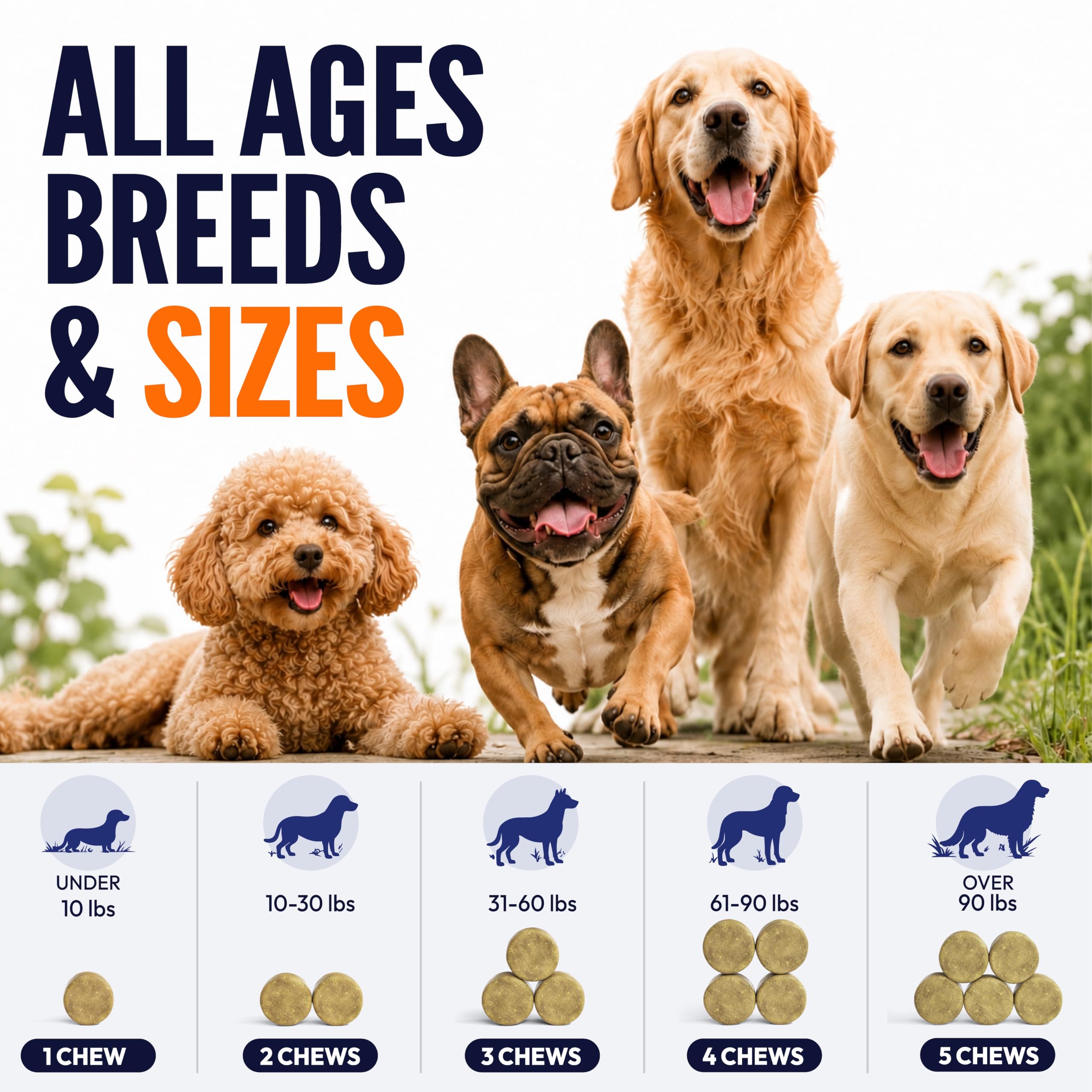 Petsology comparación de tamaño para dosificación visual rápida
