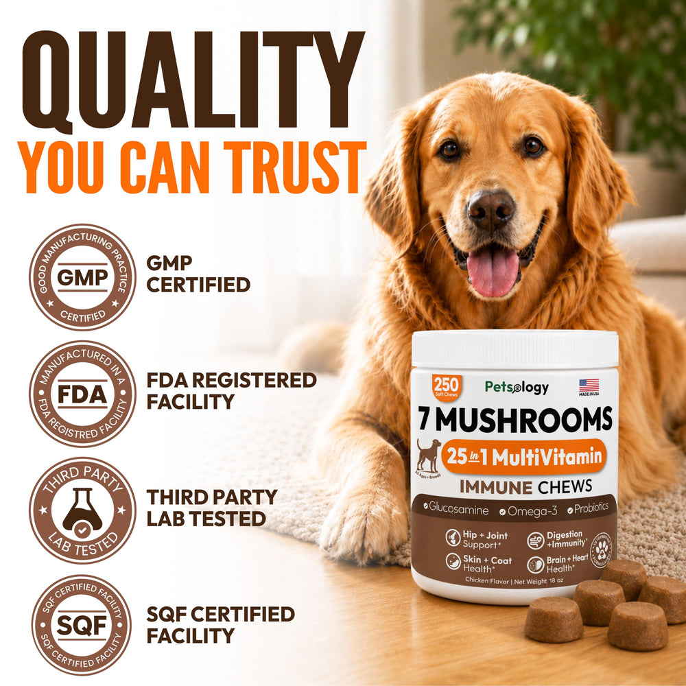 Petsology etiqueta nutricional clara con ingredientes y sin azúcares