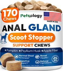 Petsology caja frontal mostrando el paquete y beneficio digestivo inmediato