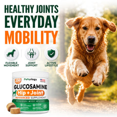 Petsology primeros planos de glucosamina y cúrcuma como ingredientes