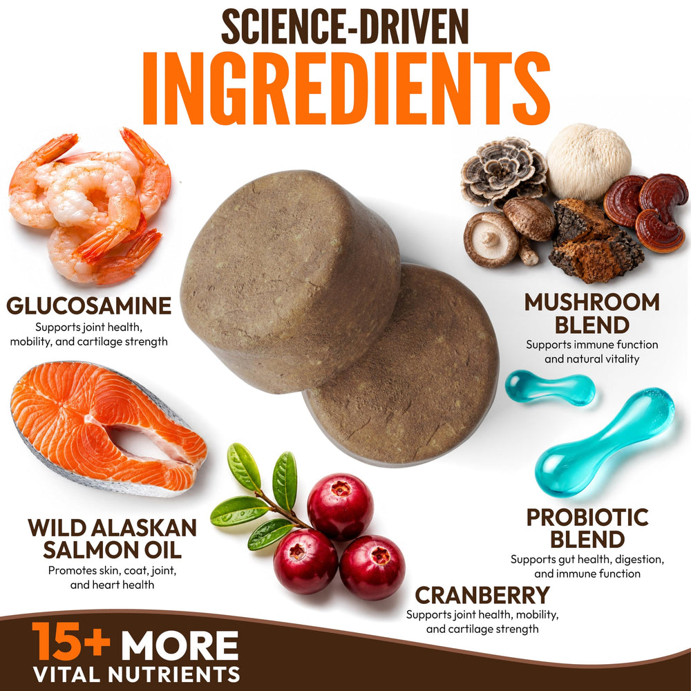 Petsology cucharilla con hongos funcionales indicando ingredientes naturales