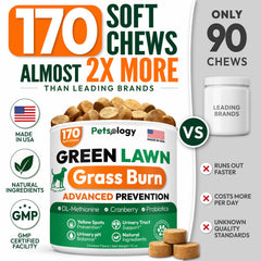 Petsology masticable en mano para comparar tamaño y dosificación visual