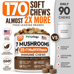 Petsology masticable en mano para mostrar tamaño y dosificación