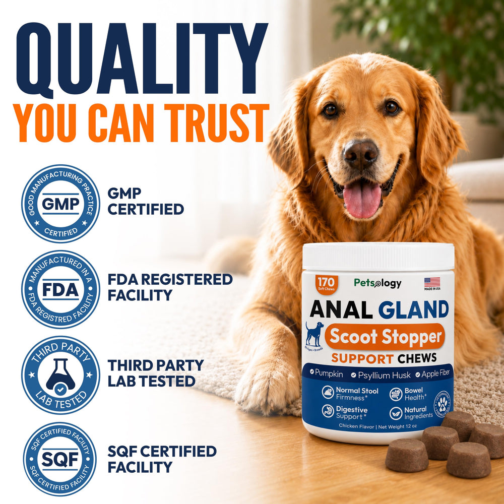 Petsology masticable en mano para comparar tamaño y dosificación practicable