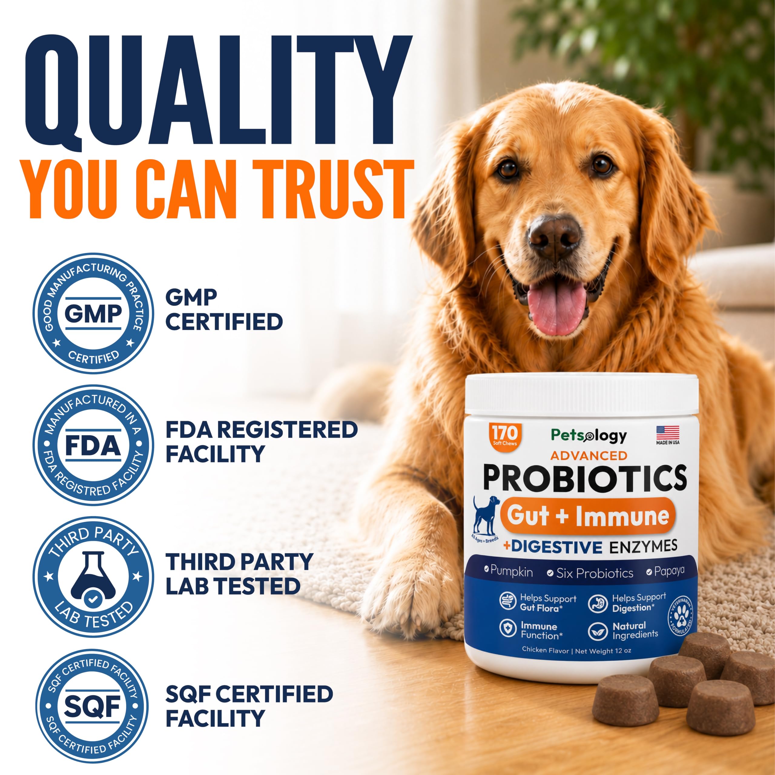 Petsology tarro abierto con masticables mostrando la cantidad del envase