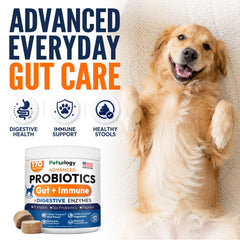 Petsology masticable en primer plano para aceptación y palatabilidad