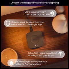 Philips Hue Bridge Pro angled side highlighting sleek design and placement benefit