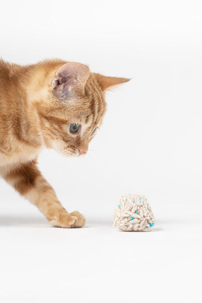 pidan litter in clean litter box showing reduced scattering benefit