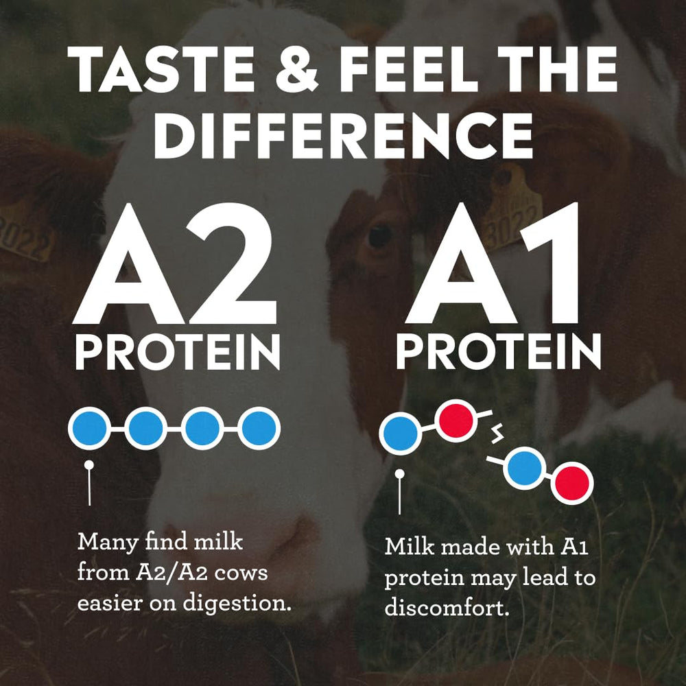 Pioneer Pastures cacao y leche A2 juntos subrayando sabor real y proteína completa