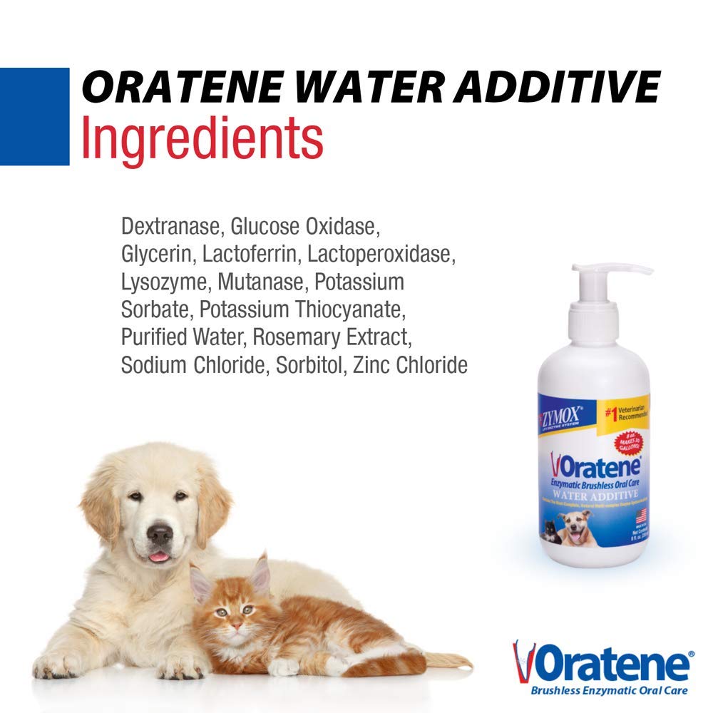PKB Animal Health mascota bebiendo agua con ZYMOX Oratene, mejora frescura