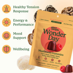 Arrangement of lion's mane, cordyceps, reishi and other mushrooms used by Plant People to highlight ingredients