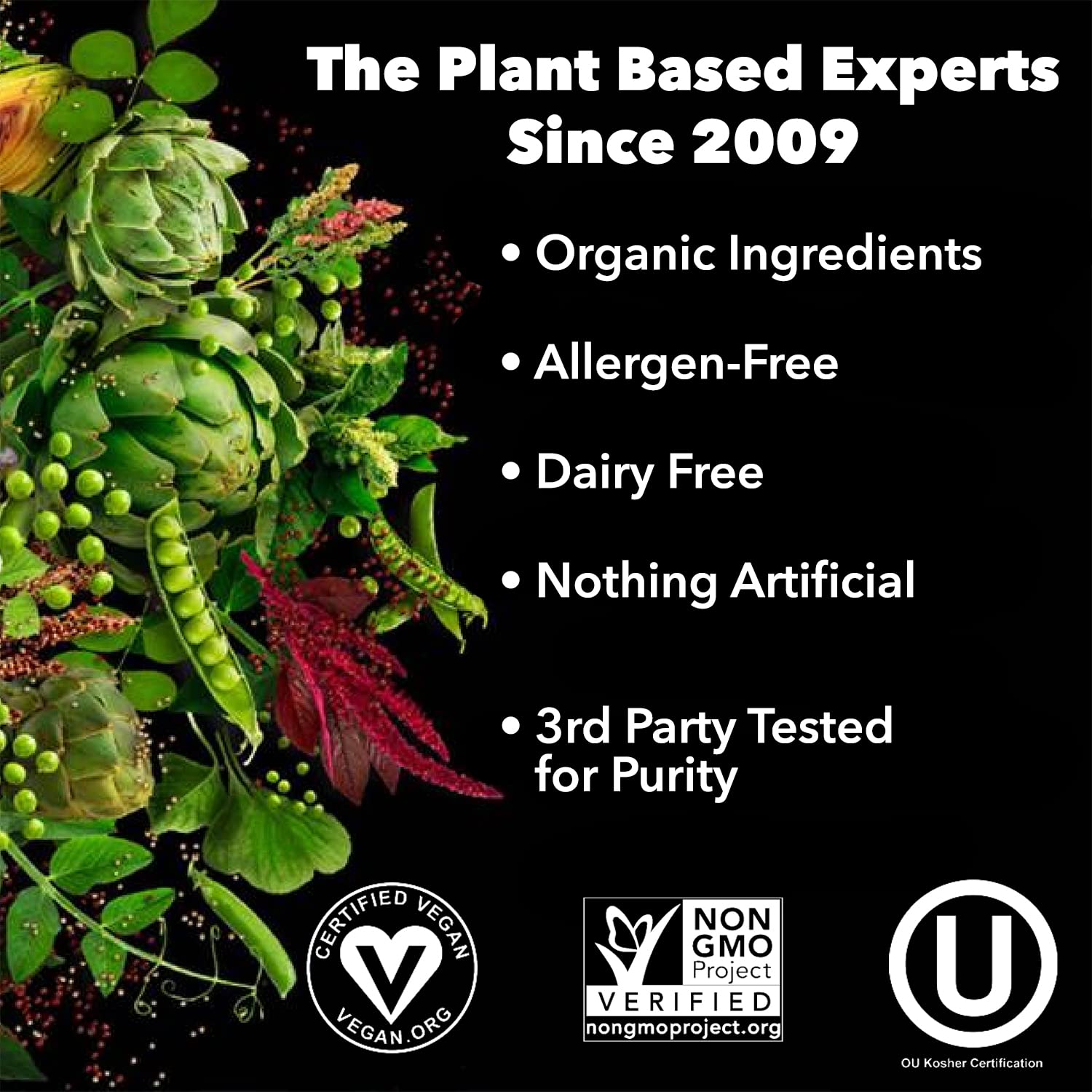 PlantFusion used in smoothie bowl illustrating tasty, protein-rich meal