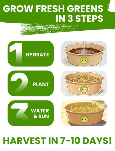 PLANTMEW sobres de semillas y disco de sustrato listos para plantar, inicio sencillo