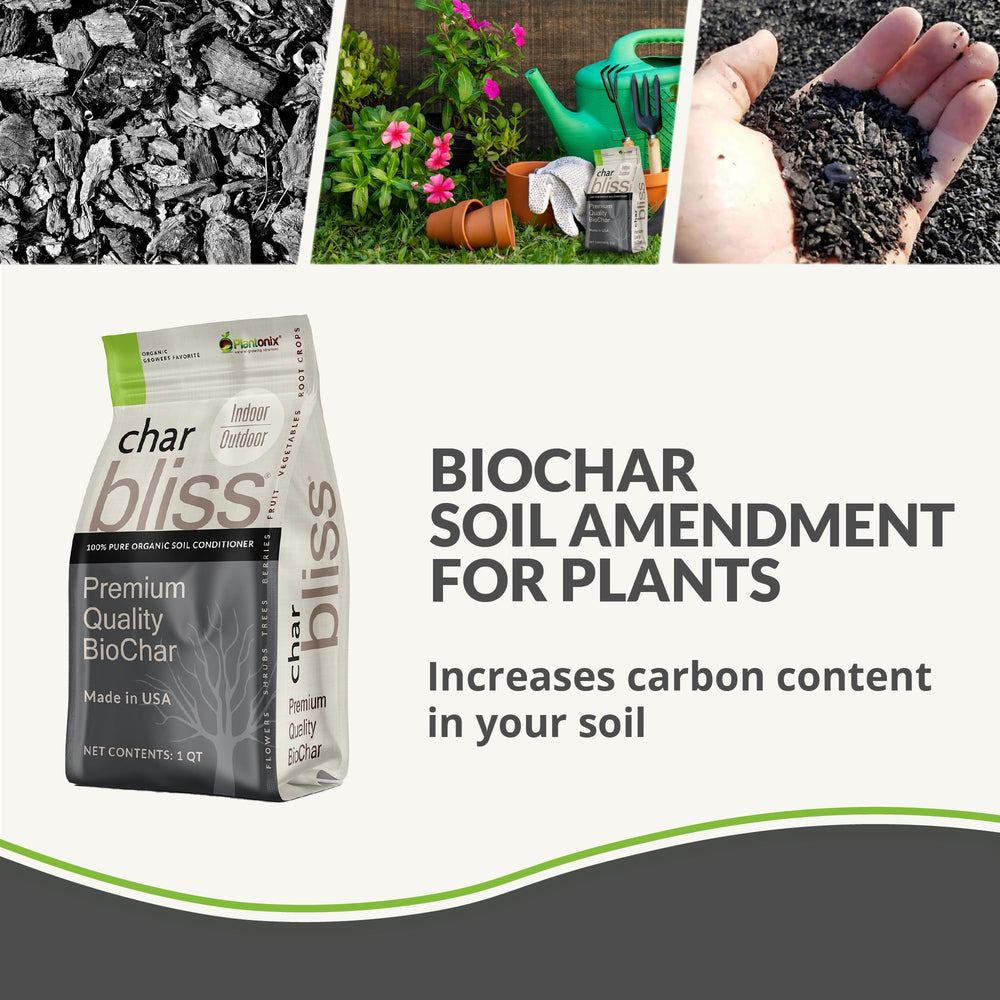plantonix Char Bliss detalle de textura porosa que mejora retención