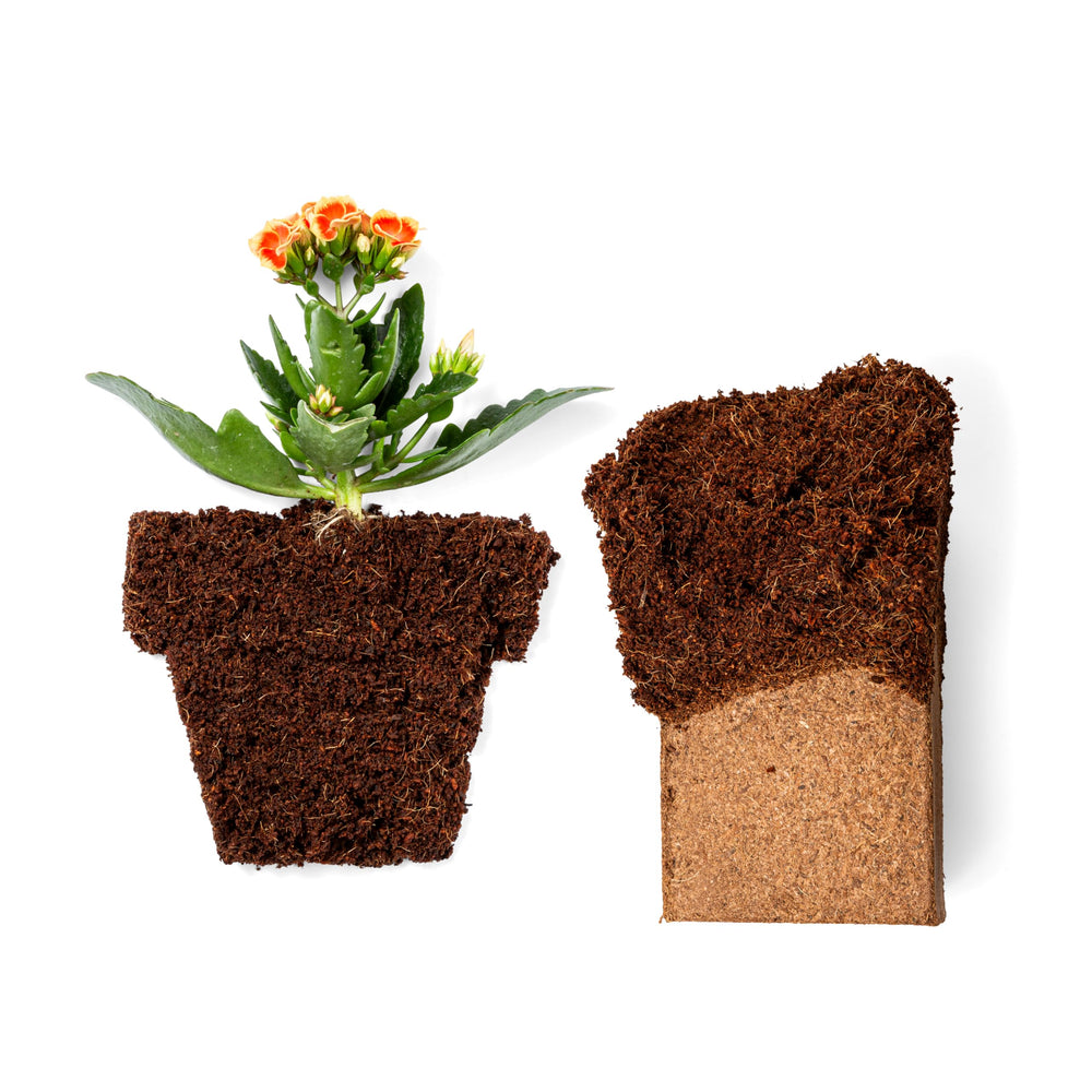 plantonix aplicación en jardín urbano mostrando uso en macetas y huerto