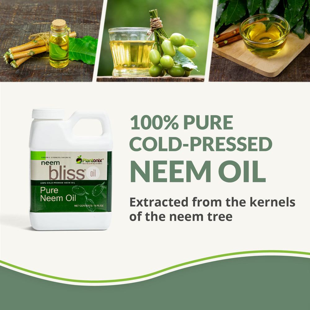plantonix Neem Bliss primer plano de textura aceitosa del producto para formulaciones