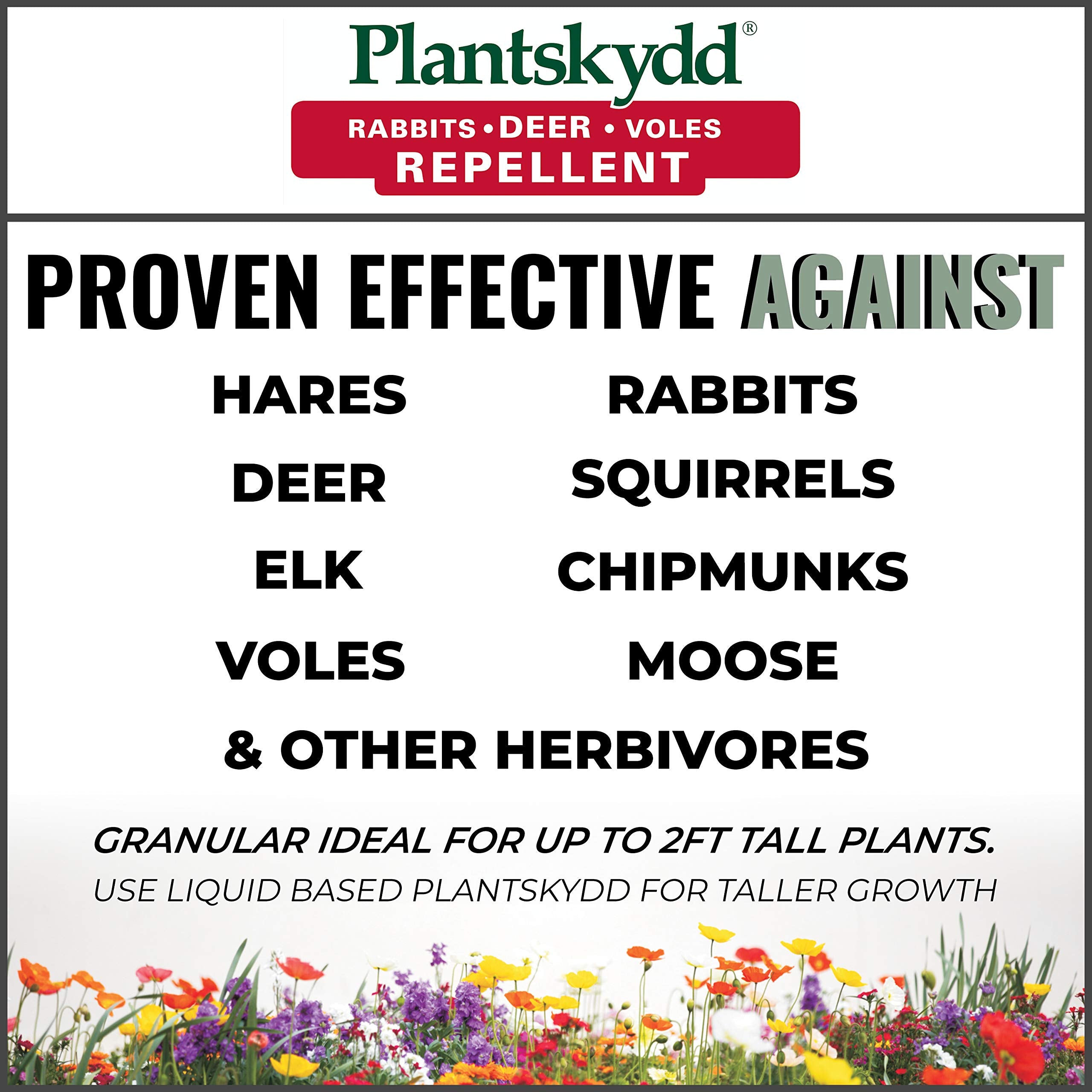 Plantskydd aplicado en el jardín protegiendo plantas contra herbívoros