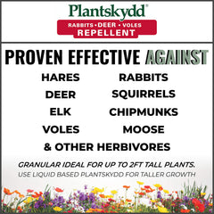 Plantskydd aplicado en el jardín protegiendo plantas contra herbívoros